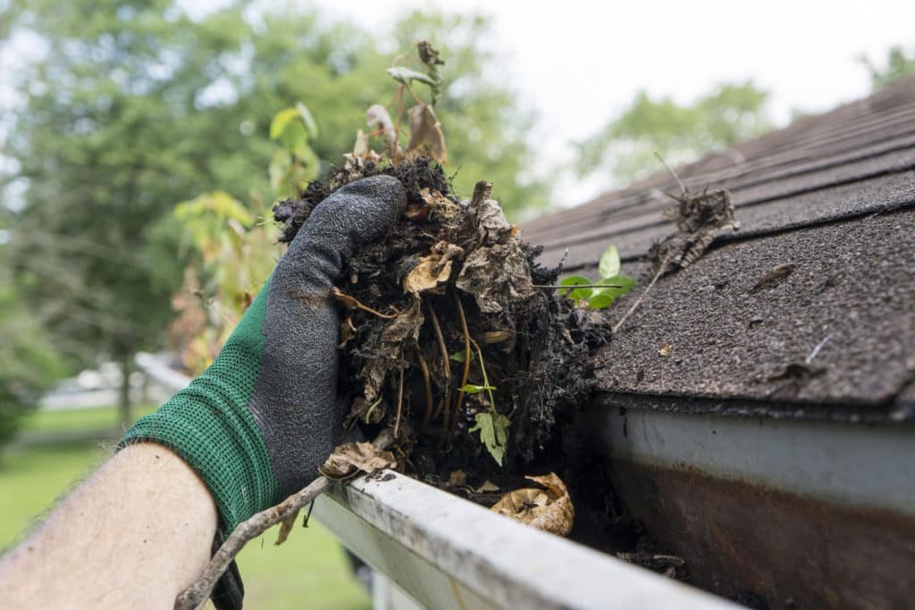 gutter cleaning companies in lakeland fl