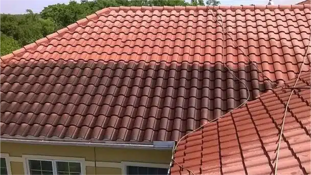 roof cleaning company in winter haven fl