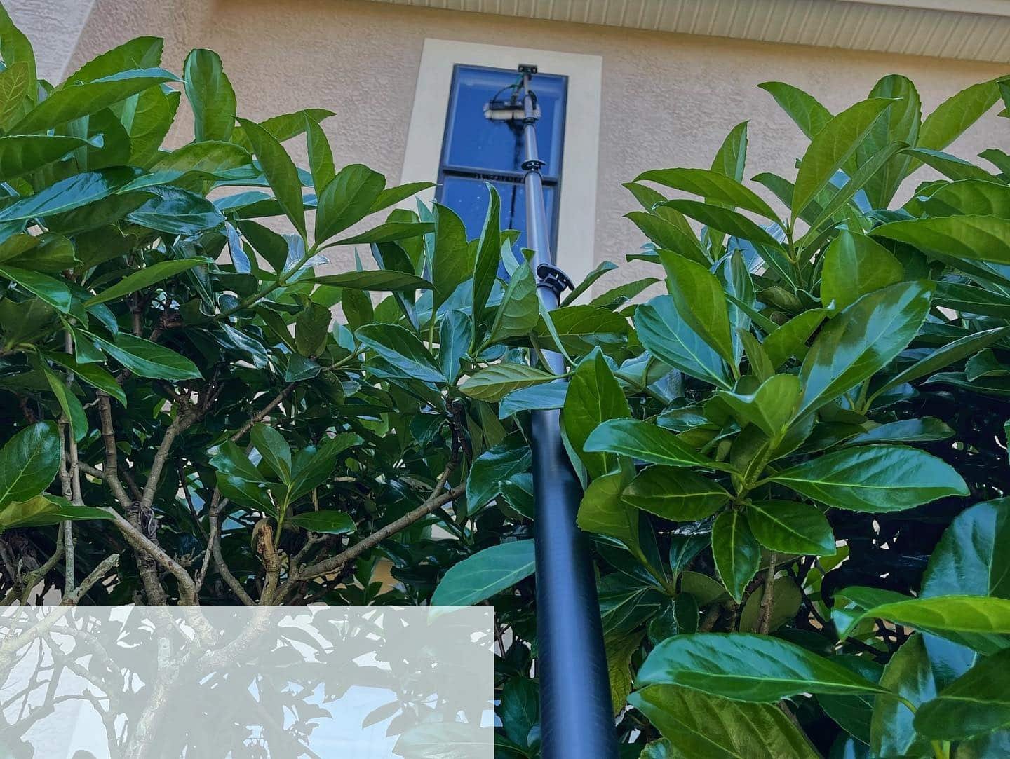 Window Cleaning Lakeland FL Cleaner Outlook