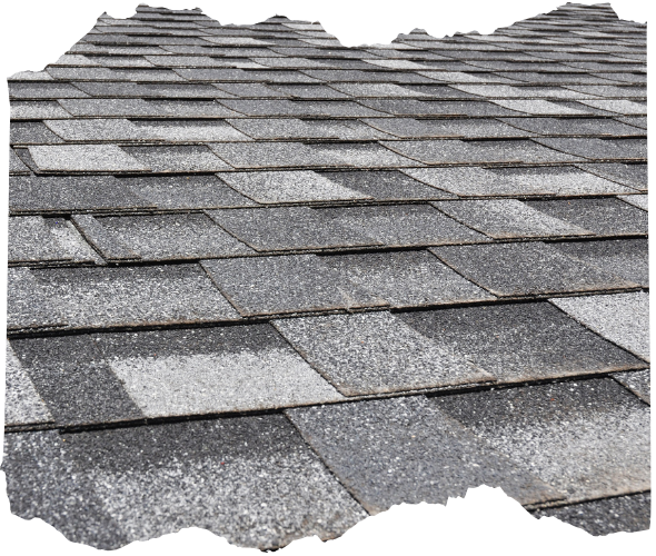 Asphalt Shingle Roofs