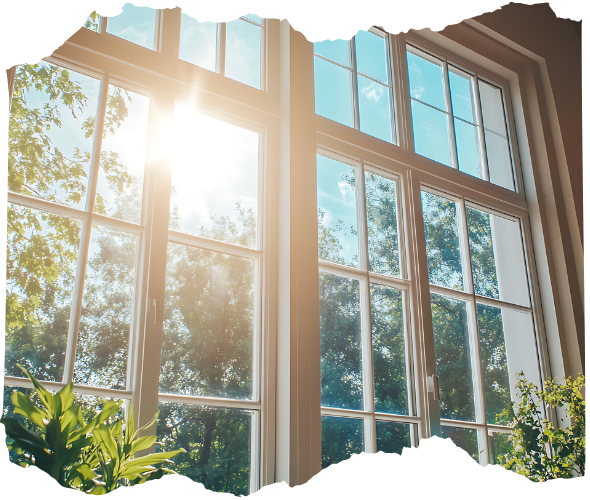 French Pane Windows​