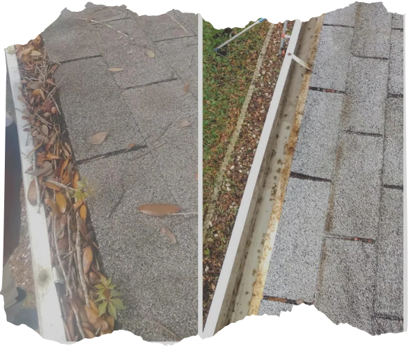 Gutter Cleaning Lakeland FL