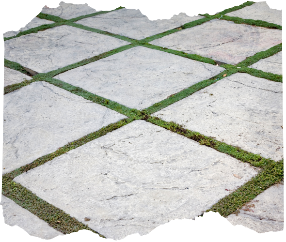 Natural Stone Paver