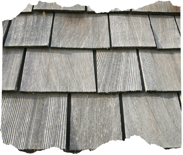 Painted Wood Roof