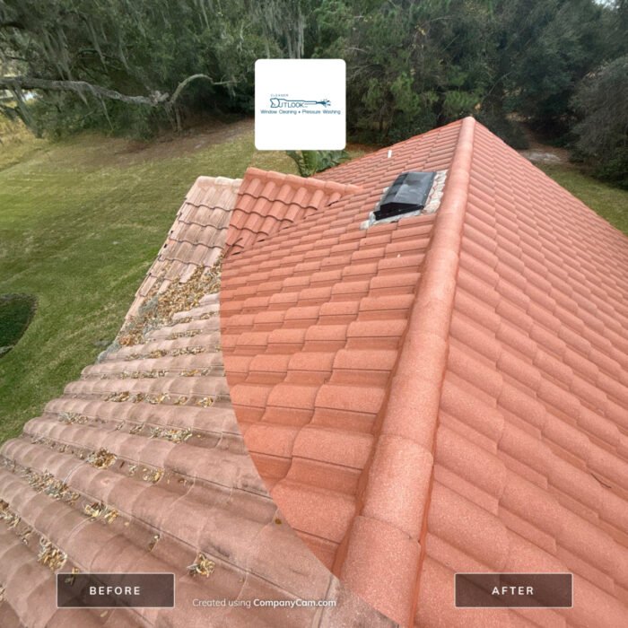 Roof-Cleaning-Lakeland-2