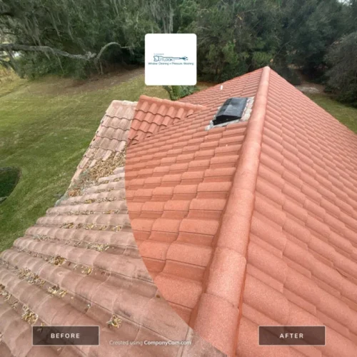 Roof Cleaning in Lakeland, FL