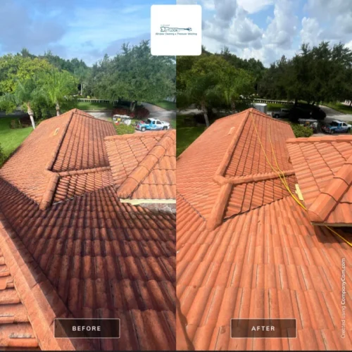 Roof Cleaning Services Lakeland, FL