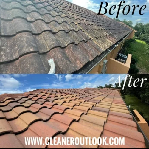 Professional Roof Cleaning Lakeland, FL