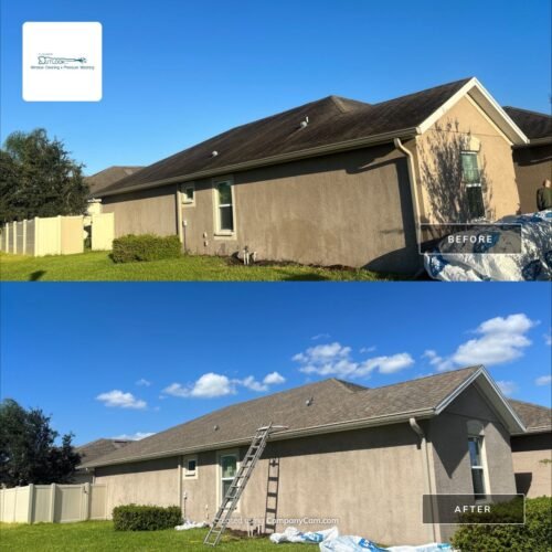 Roof Cleaning Lakeland FL