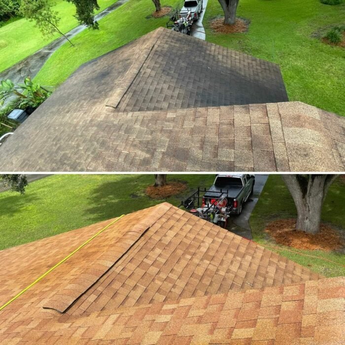 Roof Cleaning Lakeland FL